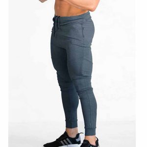 Alternative view of NS-SWMJ1