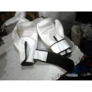 Alternative view of NS-SWBG6